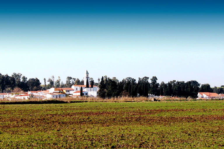 san_francisco_de_olivenza