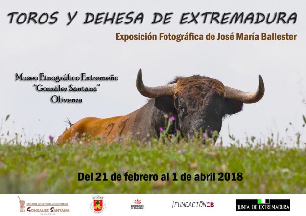 Cartel Toros y Dehesa
