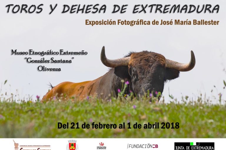Cartel Toros y Dehesa