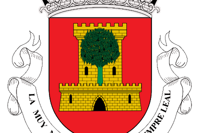 ESCUDO-DE-OLIVENZA400x4003N
