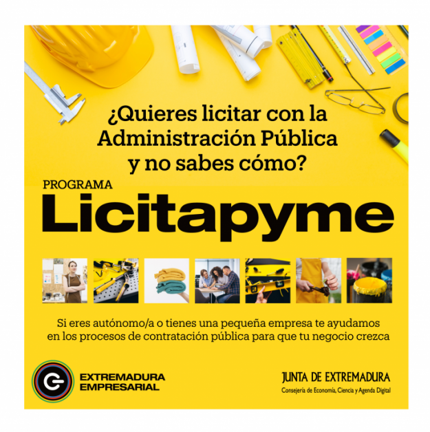 Licitapyme_RRSS-copia-732×735