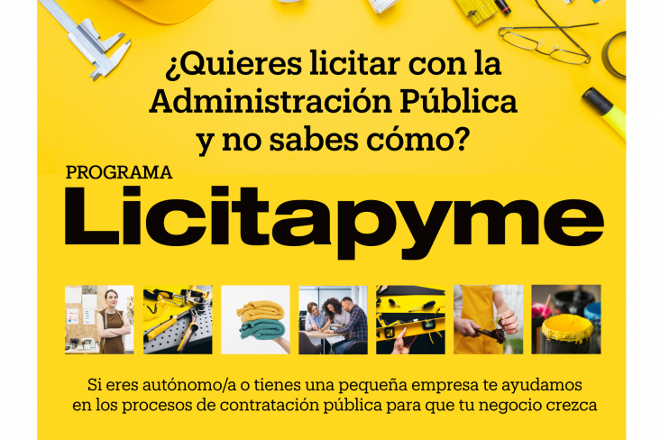 Licitapyme_RRSS-copia-732×735