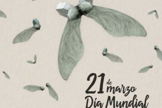 Diseño-sin-título-8-520×735