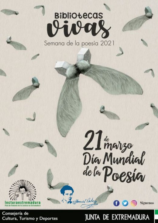 Diseño-sin-título-8-520×735