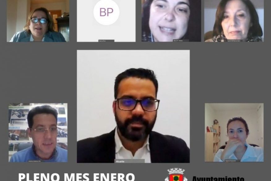PLENO-MES-ENERO-877×735