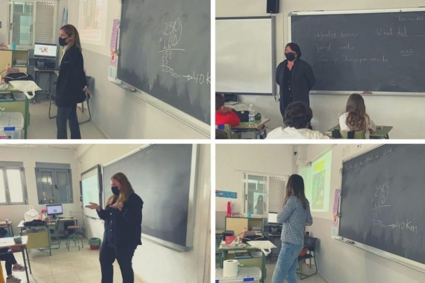 Diseño-sin-título-12-2-877×735