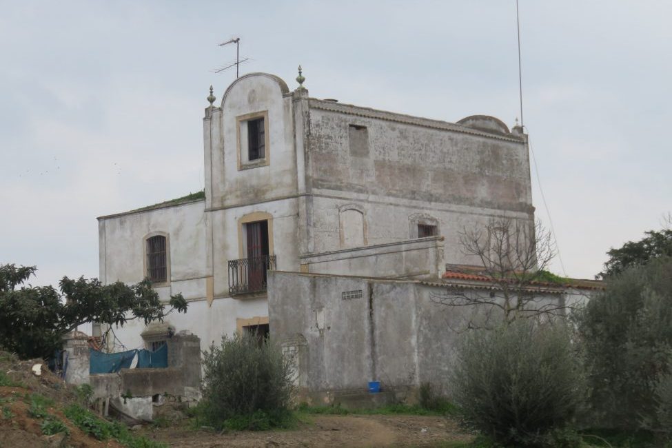 Foto-Portada-975×735