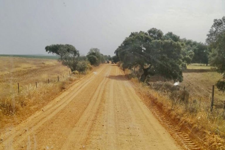 2022 camino