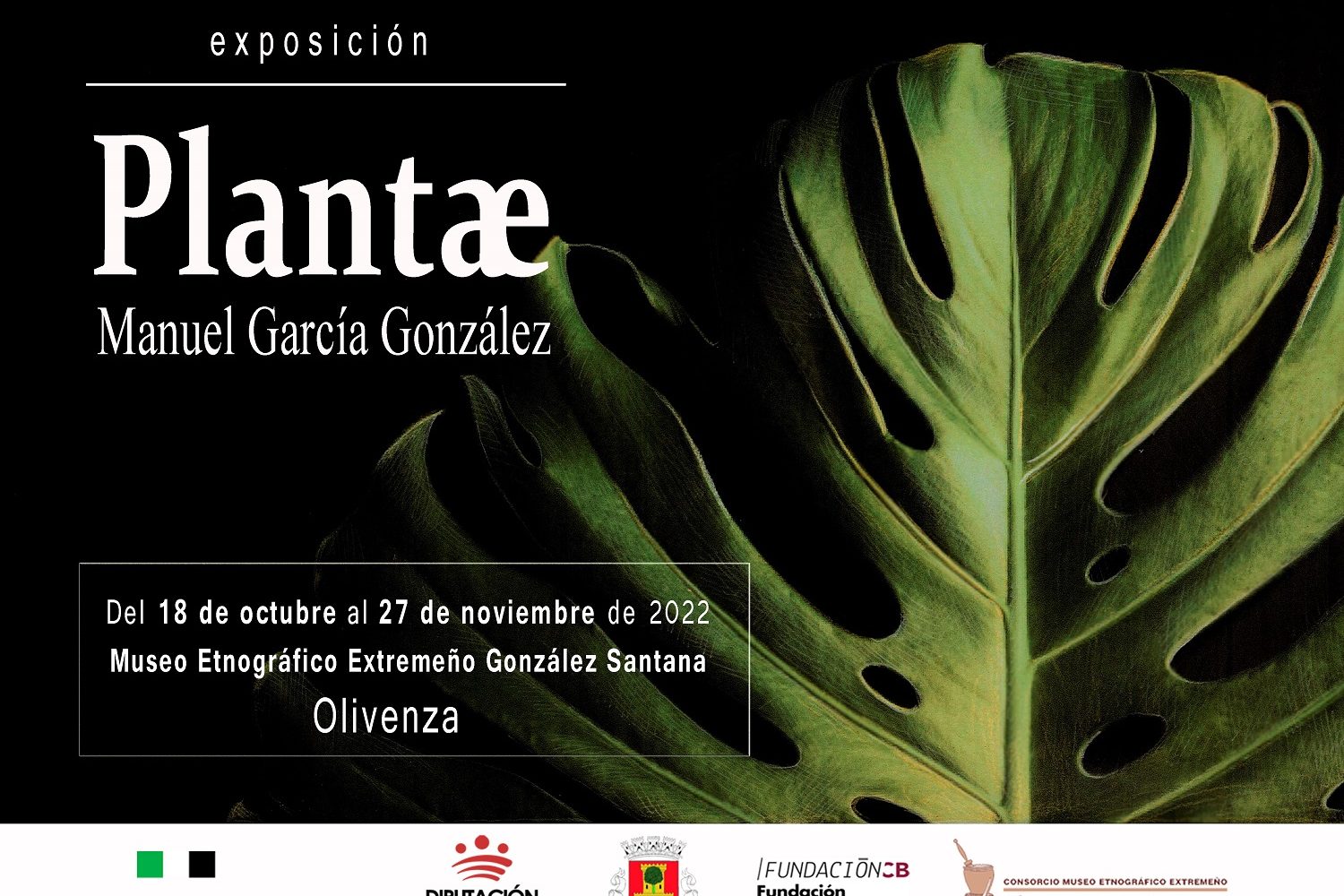 Cartel(6)