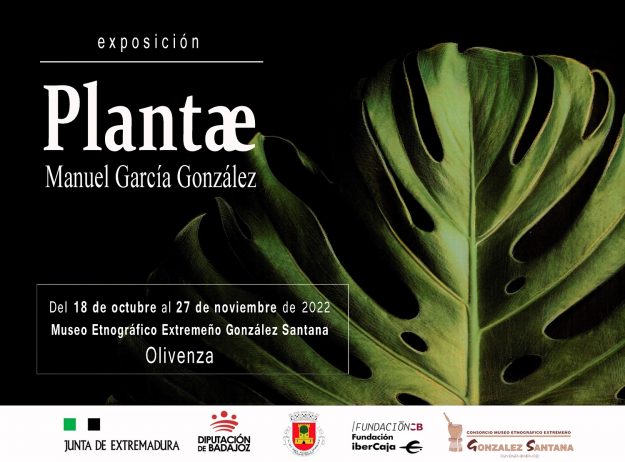 Cartel(6)