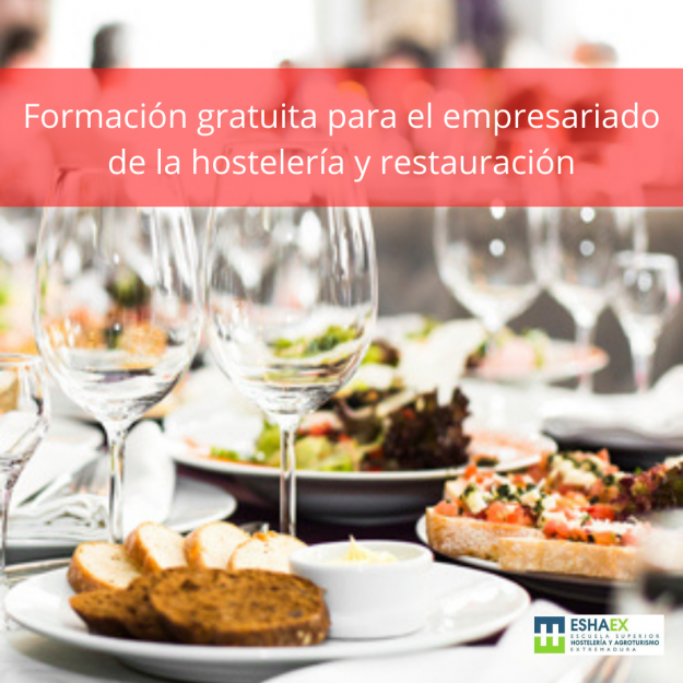 Cursos
