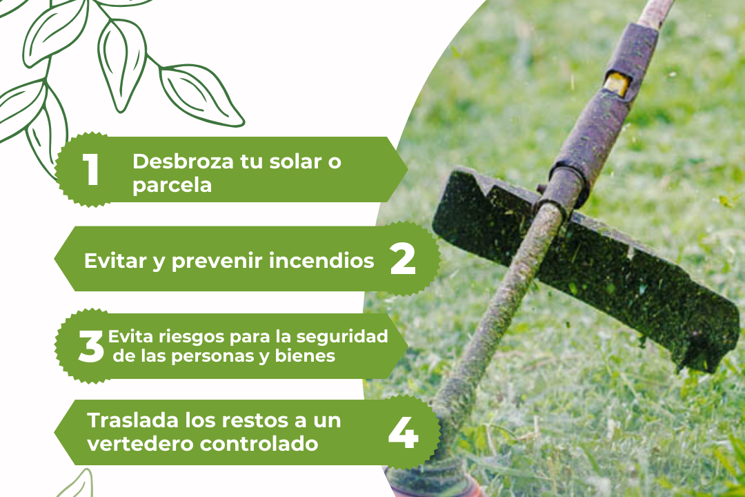 LIMPIEZA DE SOLARES