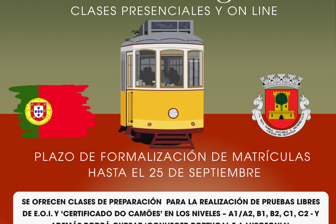 MATRICULACIÓN CURSO 20262027