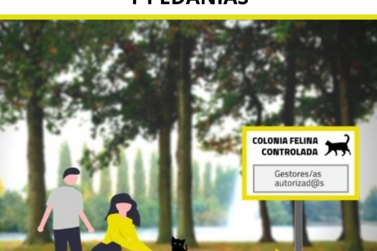 PROGRAMA DE GESTIÓN ÉTICA DE COLONIAS FELINAS EN OLIVENZA Y PEDANÍAS