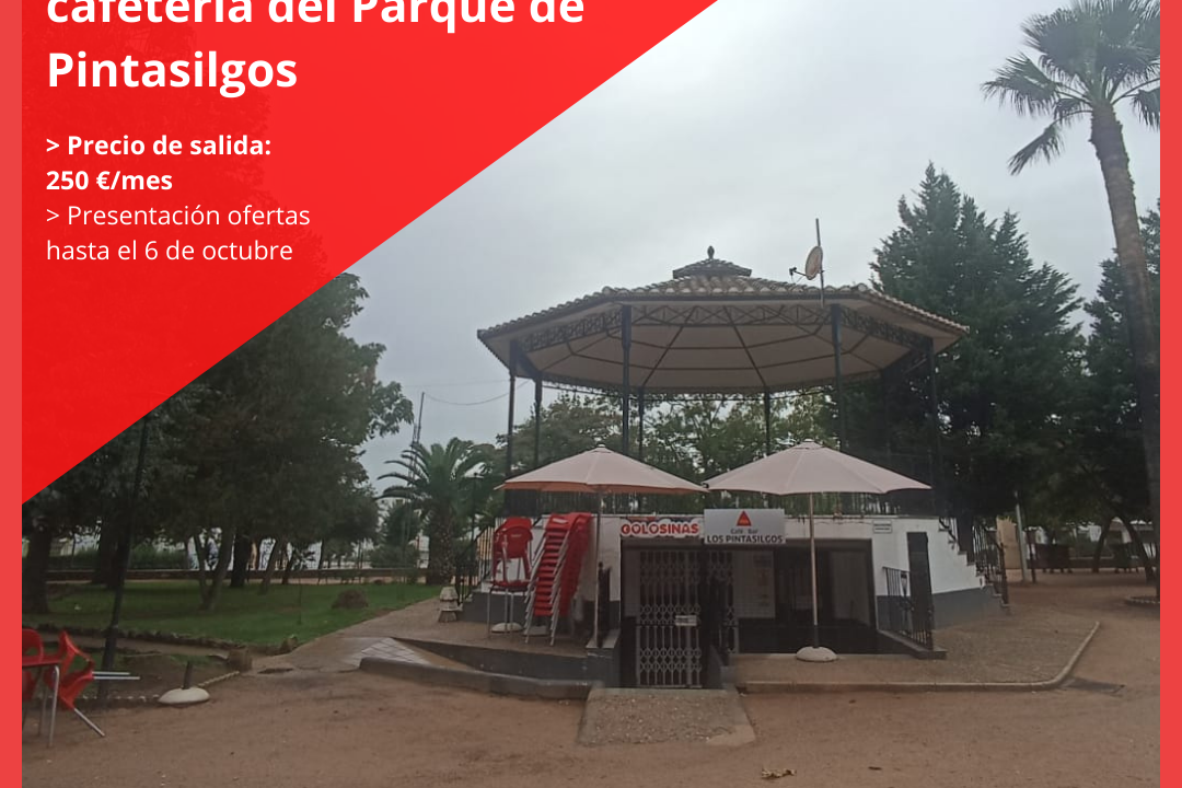 Sale a licitación pública la explotación del quioso-bar-cafetería del Parque de Pintasilgos
