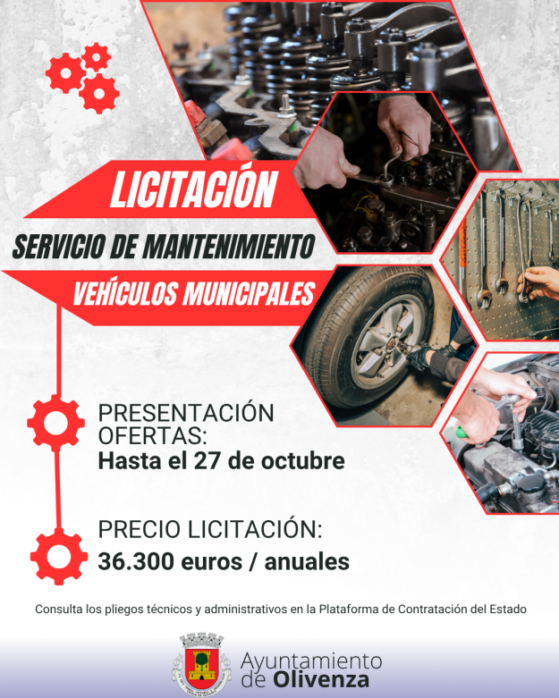 Servicio del motor