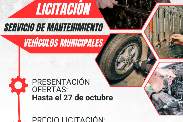 Servicio del motor