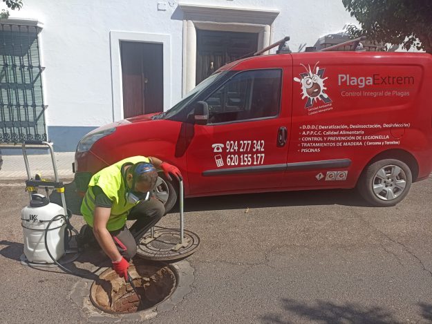 20230720_control_plagas_calle_sanpedro