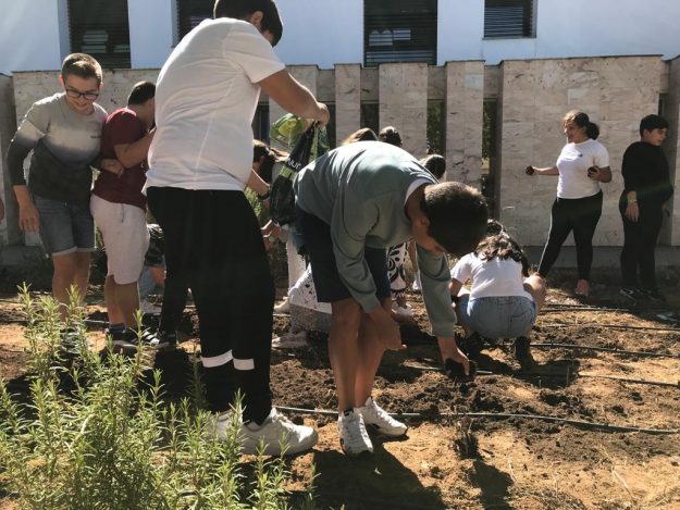 20230720_huerto_ecologico_fco_ortiz