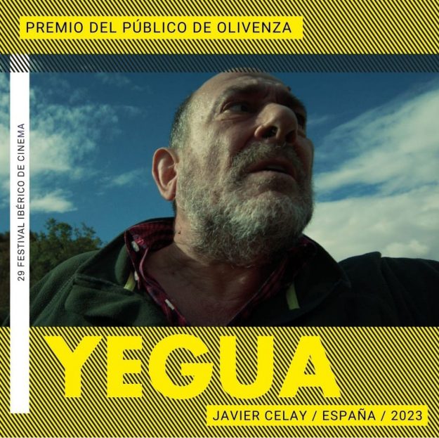 mejorcortopublicoolivenza
