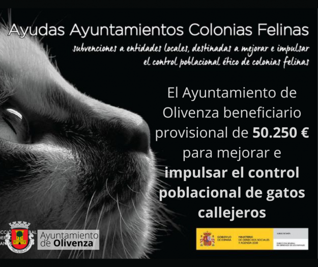 colonias felinas
