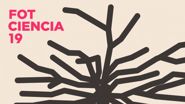 concurso foto ciencia 19