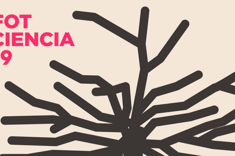 concurso foto ciencia 19