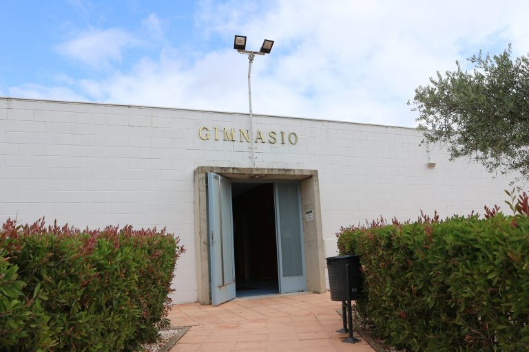 gimnasio municipal