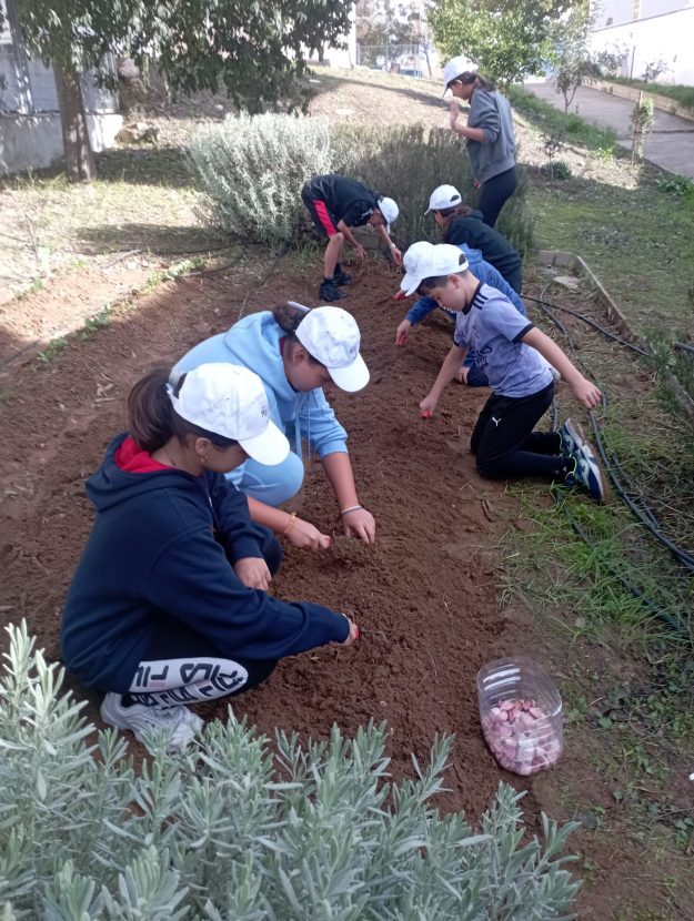 huerto escolar fco ortiz