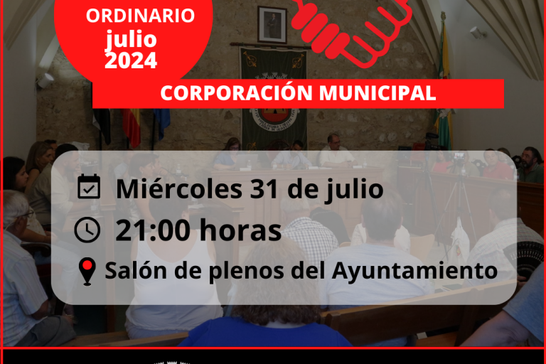 pleno (6)
