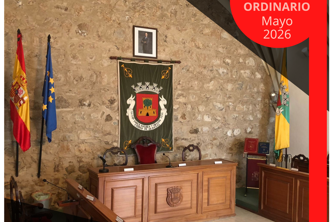 pleno mayo26