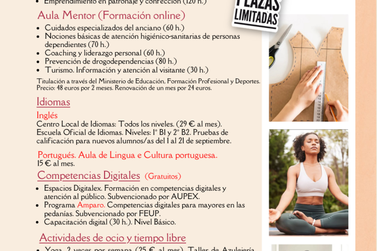 programación trimestral upo