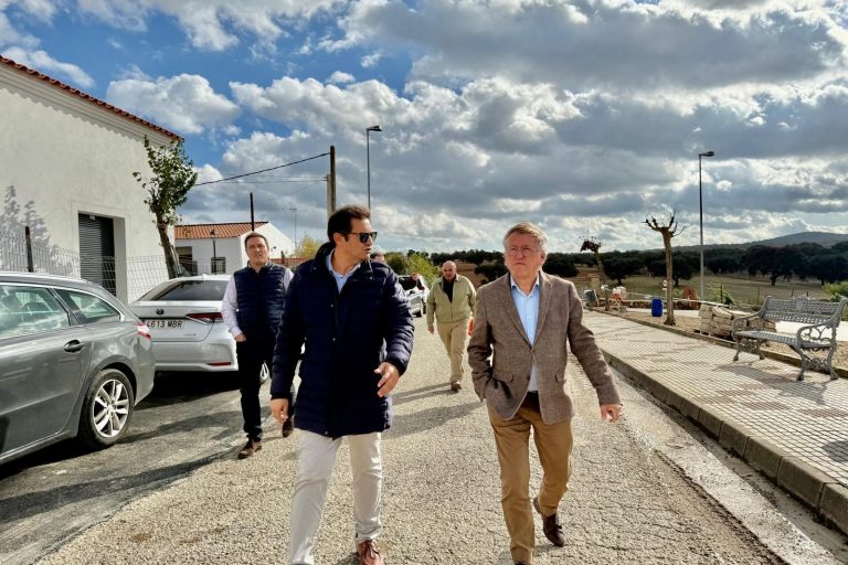 sanaemiento_san_amaro