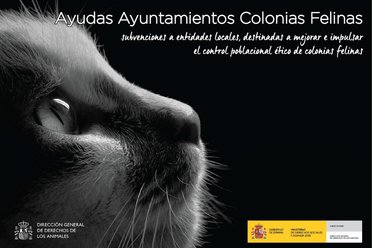 subvenciones-ayuntamiento