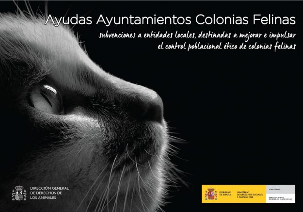 subvenciones-ayuntamiento